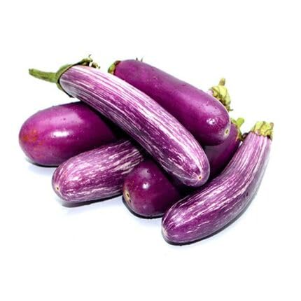Purple Brinjal Seeds – Heirloom, Non-GMO, High Germination Organic Garden Seeds Planting