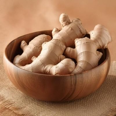 Brown Ginger Seeds – Heirloom, Non-GMO, High Germination Organic Garden Seeds Planting