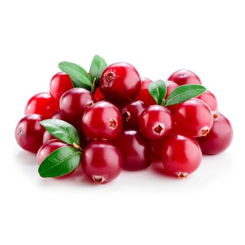 Red Cranberry Seeds – Heirloom, Non-GMO, High Germination Organic Garden Seeds