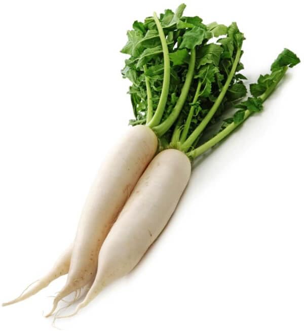 White Radish Seeds – Heirloom, Non-GMO, High Germination Organic Garden Seeds Planting