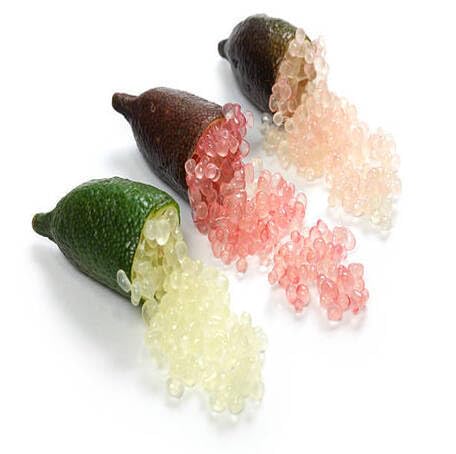 Mixed Finger Lime Fruit Seeds – Heirloom, Non-GMO, High Germination Organic Garden Seeds