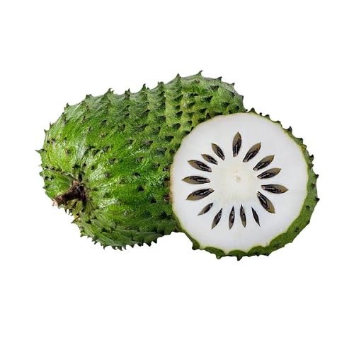Green Guanabana Seeds – Heirloom, Non-GMO, High Germination Organic Garden Seeds