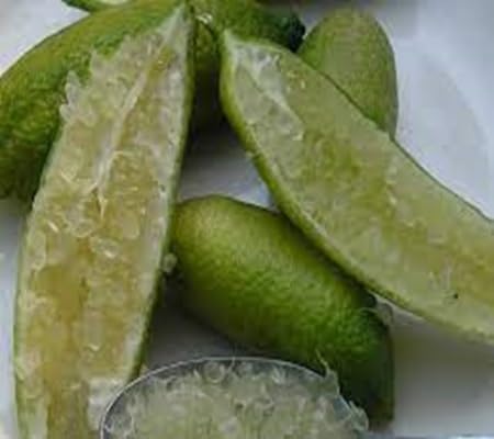 Finger Lime Seeds – Heirloom, Non-GMO, High Germination Organic Garden Seeds