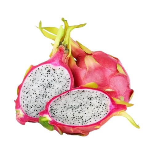 Dragon Seeds – Heirloom, Non-GMO, High Germination Organic Garden Seeds