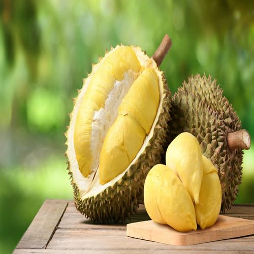 Durian Fruit Seeds – Heirloom, Non-GMO, High Germination Organic Garden Seeds