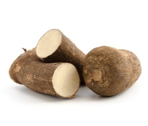 brown yam heirloom non-gmo seeds