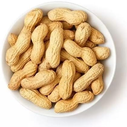 Peanut Plant Seeds Brown Heirloom Non-GMO High Germination Organic Garden Seeds
