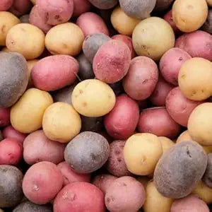 mixed sweet flower seeds