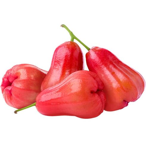 Red Rose Apple Fruit Seeds for Planting – Heirloom Non-GMO High Germination Organic Garden Seeds