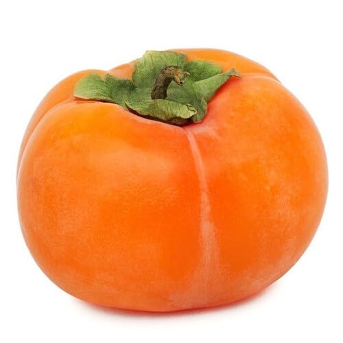 Orange Permission Seeds – Heirloom, Non-GMO, High Germination Organic Garden Seeds