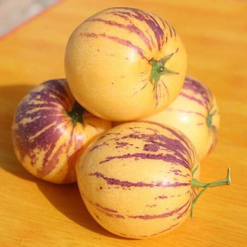 Yellow Pepino Melon Seeds – Heirloom, Non-GMO, High Germination Organic Garden Seeds