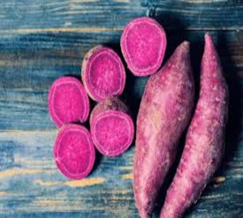 Sweet Potato Purple Seeds – Heirloom, Non-GMO, High Germination Organic Garden Seeds Planting