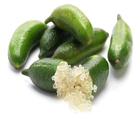 Finger Lime Seeds Green for Planting – Heirloom Non-GMO High Germination Organic Garden Seeds
