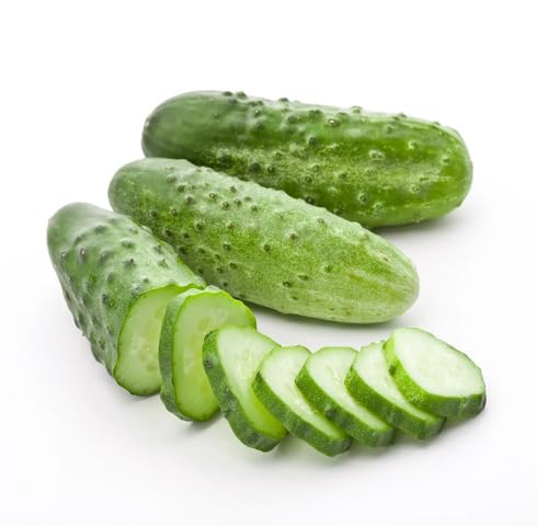 Green Cucumber Seeds – Heirloom, Non-GMO, High Germination Organic Garden Seeds Planting