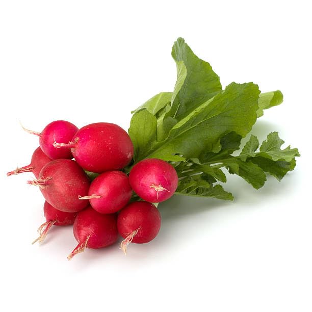 Radish Pink Seeds – Heirloom, Non-GMO, High Germination Organic Garden Seeds Planting