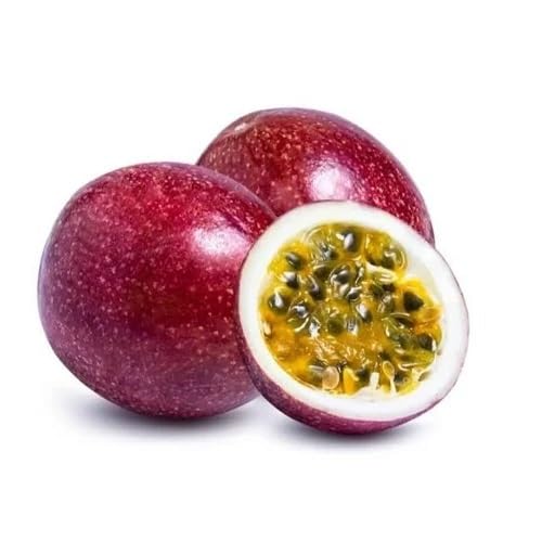 Maroon Passion Fruit Seeds – Heirloom, Non-GMO, High Germination Organic Garden Seeds