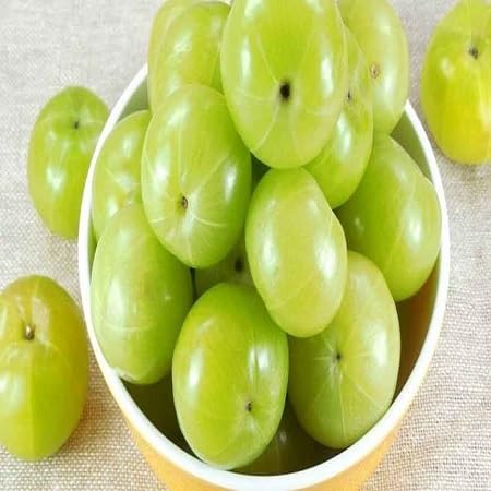 Gooseberry Seeds – Heirloom, Non-GMO, High Germination Organic Garden Seeds