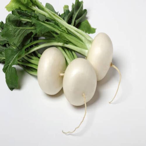 White Turnip Seeds – Heirloom, Non-GMO, High Germination Organic Garden Seeds Planting