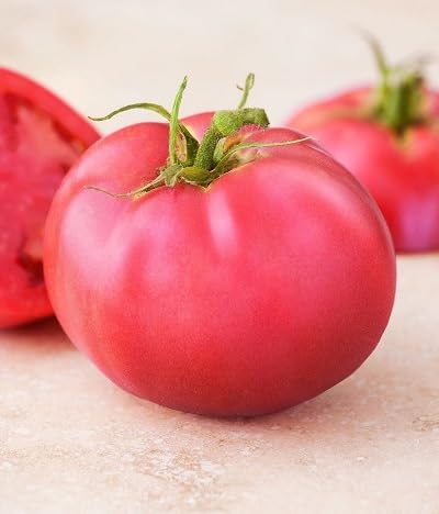 Tomato Vegetables Seeds Pink – Heirloom, Non-GMO, High Germination Organic Garden Seeds
