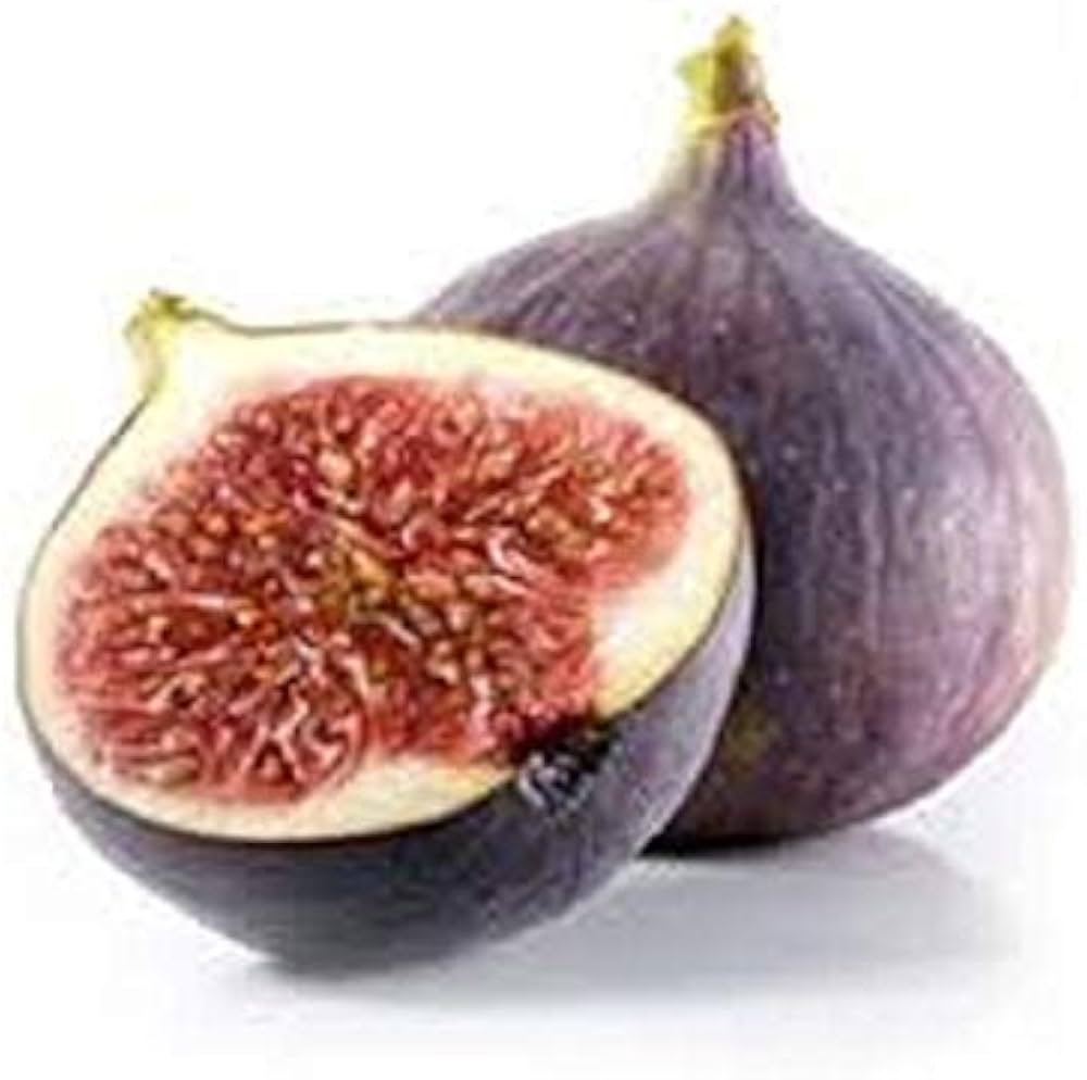 purple fig flower seeds