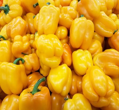 Yellow Pepper Seeds – Heirloom, Non-GMO, High Germination Organic Garden Seeds Planting