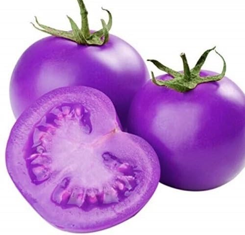 Tomato Purple Seeds – Heirloom, Non-GMO, High Germination Organic Garden Seeds