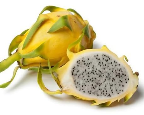 Dragon Seeds – Heirloom, Non-GMO, High Germination Organic Garden Seeds