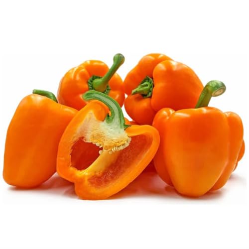 Orangene Gemüsepaprika-Samen – Alte Sorte, gentechnikfrei, hohe Keimrate, Bio-Gartensamen zum Anpflanzen