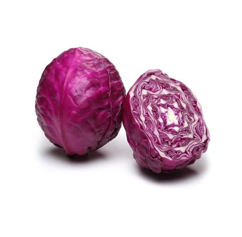 Purple Cabbage Seeds – Heirloom, Non-GMO, High Germination Organic Garden Seeds Planting