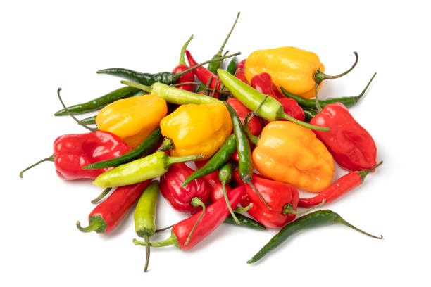 Pepper Mixed Seeds – Heirloom, Non-GMO, High Germination Organic Garden Seeds Planting