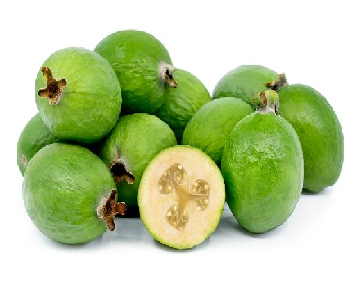 Green Feijoa Seeds – Heirloom, Non-GMO, High Germination Organic Garden Seeds