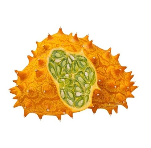 Yellow Kiwano Seeds – Heirloom, Non-GMO, High Germination Organic Garden Seeds