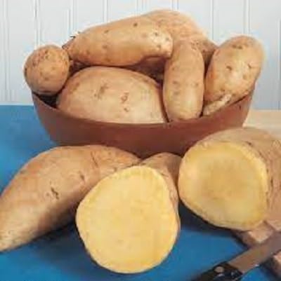 Sweet Potato Brown Seeds – Heirloom, Non-GMO, High Germination Organic Garden Seeds Planting
