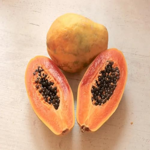 Papaya Seeds – Heirloom, Non-GMO, High Germination Organic Garden Seeds