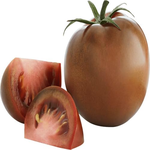 Brown Tomato Seeds – Heirloom, Non-GMO, High Germination Organic Garden Seeds Planting