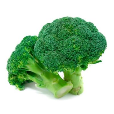 Green Broccoli Seeds – Heirloom, Non-GMO, High Germination Organic Garden Seeds Planting