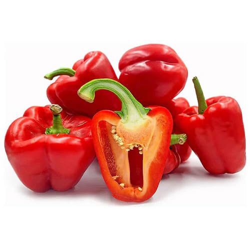Red Capsicum Seeds – Heirloom, Non-GMO, High Germination Organic Garden Seeds Planting