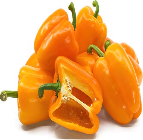 Orangene Gemüsepaprika-Samen – Alte Sorte, gentechnikfrei, hohe Keimrate, Bio-Gartensamen zum Anpflanzen