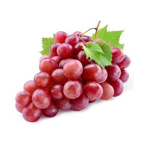 Rote Traubenkerne – Alte Sorte, gentechnikfrei, hohe Keimfähigkeit, Bio-Gartensamen