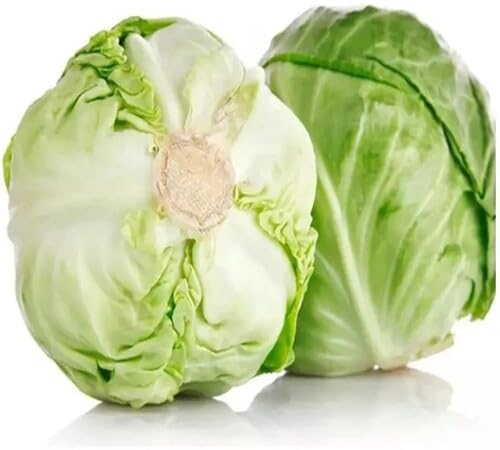 Green Cabbage Seeds – Heirloom, Non-GMO, High Germination Organic Garden Seeds Planting
