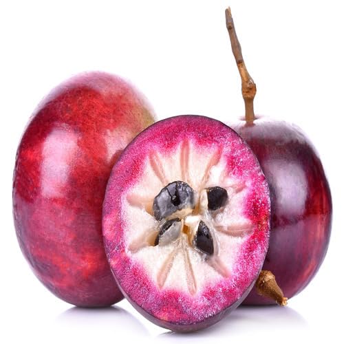Purple Star Apple Seeds – Heirloom, Non-GMO, High Germination Organic Garden Seeds