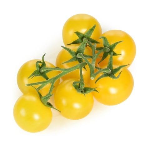Semillas de tomate amarillo – Herencia, sin OGM, alta germinación Semillas de jardín orgánicas para plantar