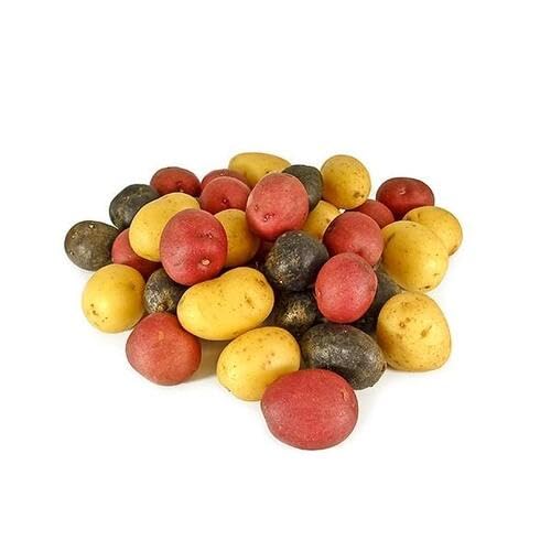 Potato Mixed Seeds – Heirloom, Non-GMO, High Germination Organic Garden Seeds Planting