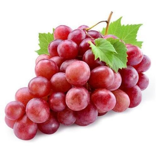 Grapes Seeds Red – Heirloom, Non-GMO, High Germination Organic Garden Seeds