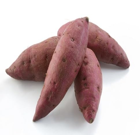 Sweet Potato Vegetables Seeds – Heirloom, Non-GMO, High Germination Organic Garden Seeds Planting