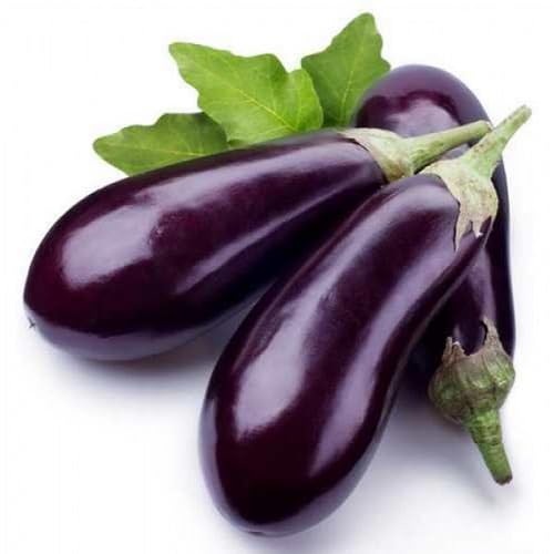 Eggplant Seeds – Heirloom, Non-GMO, High Germination Organic Garden Seeds Planting