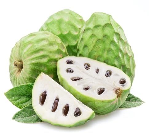 Cherimoya Seeds Organic – Heirloom, Non-GMO, High Germination Organic Garden Seeds