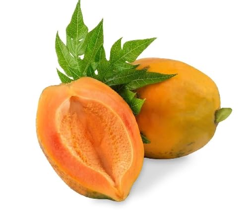 Papaya Seeds Orange – Heirloom, Non-GMO, High Germination Organic Garden Seeds