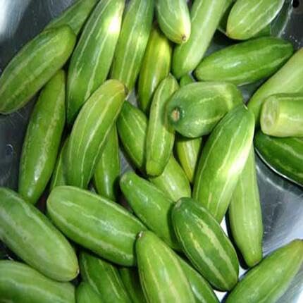 Ivy Gourd Green Seeds – Heirloom, Non-GMO, High Germination Organic Garden Seeds Planting