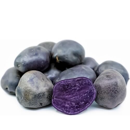 Purple Potato – Heirloom, Non-GMO, High Germination Organic Garden Seeds